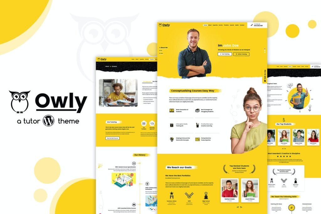 Owly – Tema WordPress eLearning Educação, Tutor